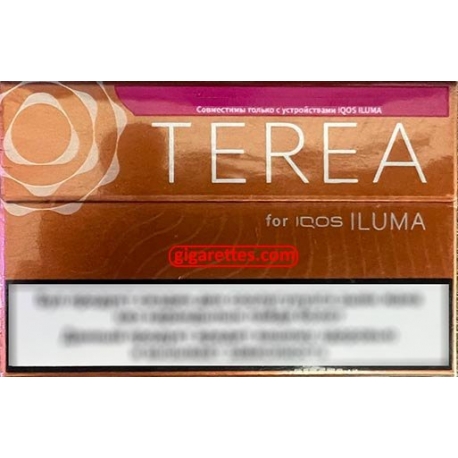 Terea Amber Wave